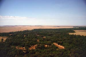 Luftbild vom Mara-Fluss mit Blick auf die Paradise-Ebene. Masai Mara National Reserve, Kenia. / Aerial view of Mara river with Paradise Plain. Masai Mara National Reserve, Kenya. / (c) Walter Mitch Podszuck (Bwana Mitch) - #980907-054