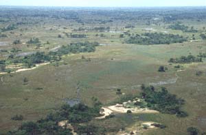 Luftaufnahme von NG22 (Kwedi Reserve), Botsuana. / Aerial view of NG22 (Kwedi Reserve), Botswana. / (c) Walter Mitch Podszuck (Bwana Mitch) - #991230-073