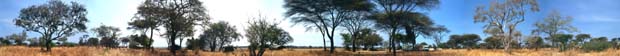 Rundblick im Flycatcher Camp Katavi. Katavi National Park, Tansania. / Panorama in Flycatcher Camp Katavi. Katavi National Park, Tanzania. / (c) Walter Mitch Podszuck (Bwana Mitch) - #010903-41-48