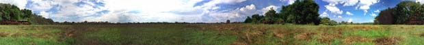 Panorama von der Ebene vor dem Chief's Camp. Moremi Game Reserve, Botsuana. / Panorama on the plain in front of Chief's Camp. Moremi Game Reserve, Botswana. / (c) Walter Mitch Podszuck (Bwana Mitch) - #991228-129-137